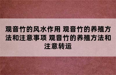 观音竹的风水作用 观音竹的养殖方法和注意事项 观音竹的养殖方法和注意转运